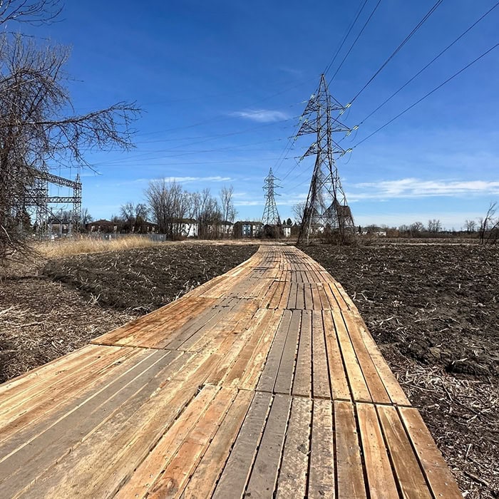 Blizzard Integrated Services Inc